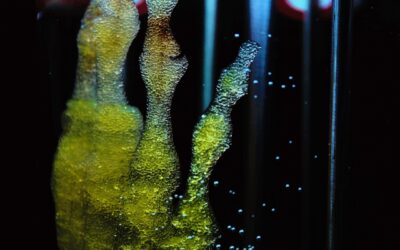 Apa Itu Teknologi Bioprinting